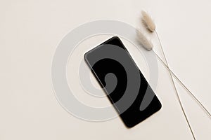 Modern electronic device still life. Black cell phone mock up with dry bunny tail grass Lagurus ovatus. Beige table