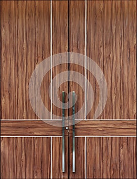 Modern Elegance Wood Door