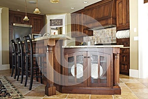 Modern Elegant Kitchen