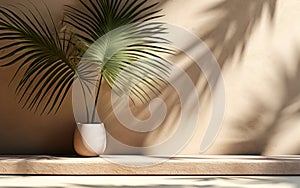 Modern empty brown concrete counter table top green palm tree in sunlight leaf shadow on stucco texture wall for luxury organic