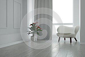 modern empty room plant and curtains interior design. 3D illustration