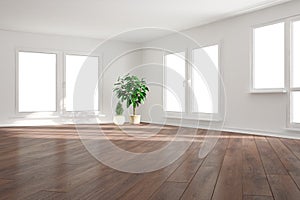 Modern empty room with plants interior design.3D illustrationmodern room with lamp,sofa,pillowsmodern room photo
