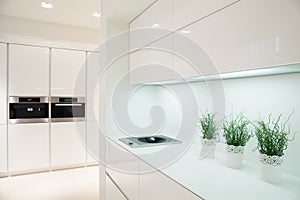 Modern and expensive kitchen interior
