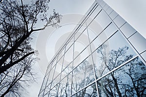 Modern facade detail with tree reflection