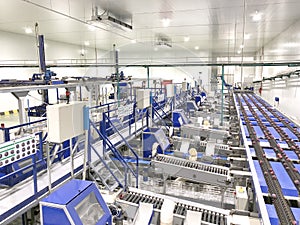 Modern factory in the agro-food sector