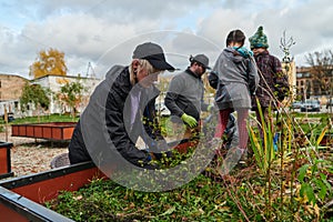 A modern family parents and children, is working together to beautify their front yard with flowers in preparation for