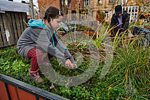 A modern family parents and children, is working together to beautify their front yard with flowers in preparation for