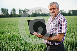 modern farmer checking his wheat field and working on laptop computer