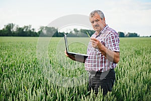 modern farmer checking his wheat field and working on laptop computer.