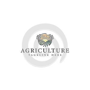 Modern flat colorful AGRICULTURE land logo design