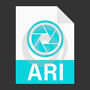 Modern flat design of ARI file icon for web