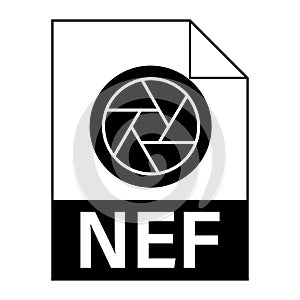 Modern flat design of NEF file icon for web