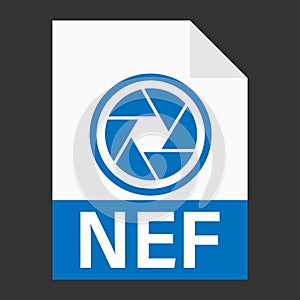 Modern flat design of NEF file icon for web