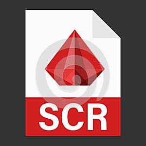Modern flat design of SCR file icon for web