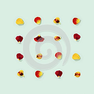 Modern floral pattern with pansy petals of flower, summer flat lay flowery seasonal styling greeting card