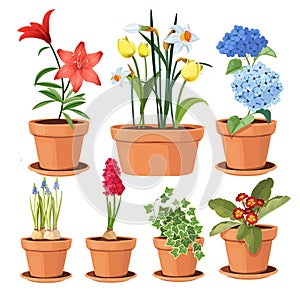 Modern flower pots. Colored decorative plants tree tulip vector illustrations