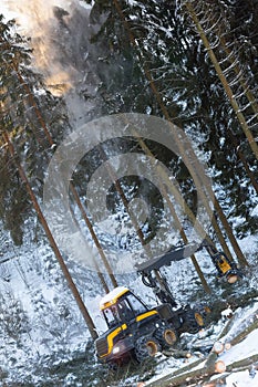 modern forestry machine in a winter forest photo