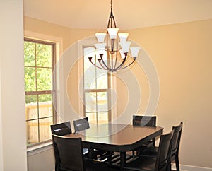 Modern Formal Lighting Fixture