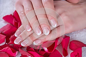 Modern French Nails: Elegance and Beauty in a Serene Setting