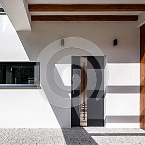 Modern front door in house