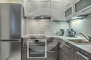 Modern furnished kitchen fridge sink and cabinets