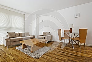 Modern furnished living room photo