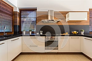 Modern furniture in luxury kitchen photo