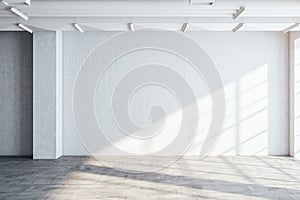 Modern gallery hall with blank wall