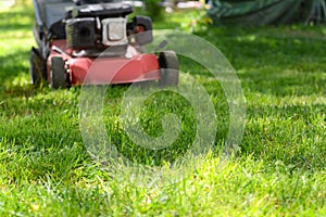 Modern garden lawn mower cutting green grass outdoors