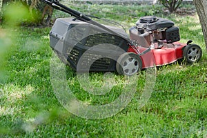Modern garden lawn mower cutting green grass outdoors