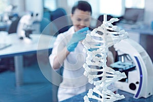 Selective focus of a DNA model