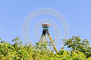 A modern geodesic receiver operates autonomously in the field among wild raspberry thickets
