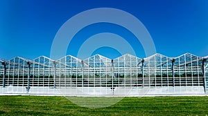 Modern glass greenhouses against the blue sky.