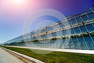 Modern glass greenhouses against the blue sky.