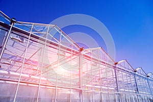 Modern glass greenhouses against the blue sky.