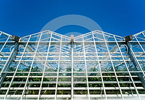 Modern glass greenhouses against the blue sky.