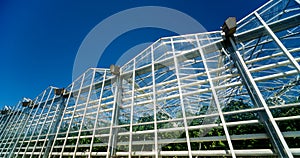 Modern glass greenhouses against the blue sky.
