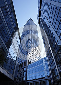 Modern glass skyscrapers