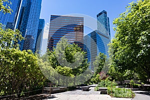 Modern Glass Skyscrapers seen from Dutch Kills Green Park with Plants and No People during Spring in Long Island City Queens New Y