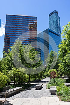 Modern Glass Skyscrapers seen from Dutch Kills Green Park with Plants and No People during Spring in Long Island City Queens New Y