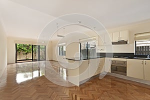 Modern gourmet kitchen interior