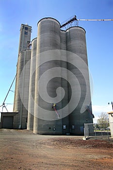 Modern Grain Elevator