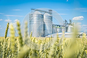 Modern grain elevator in a green wheat field