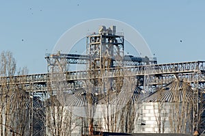 Modern Grain Terminal. Elevator.