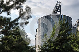 Modern Granary elevator and seed cleaning line. Silver silos on agro-processing and manufacturing plant for storage and processing