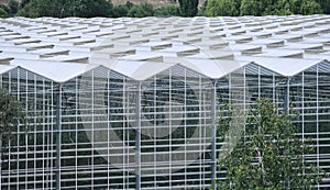 Modern greenhouse complex roof structure made of glass and metal, top view. Large modern greenhouse complex.