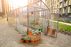 Modern greenhouse in the courtyard between the multi-storey buildings of a city