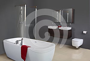 Modern Grey Bathroom photo