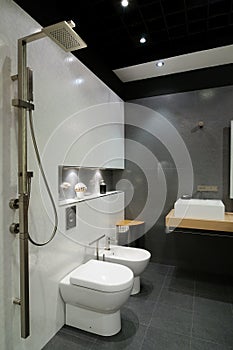 Modern grey bathroom