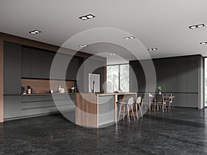 Modern grey home kitchen interior with eating table and bar counter with window